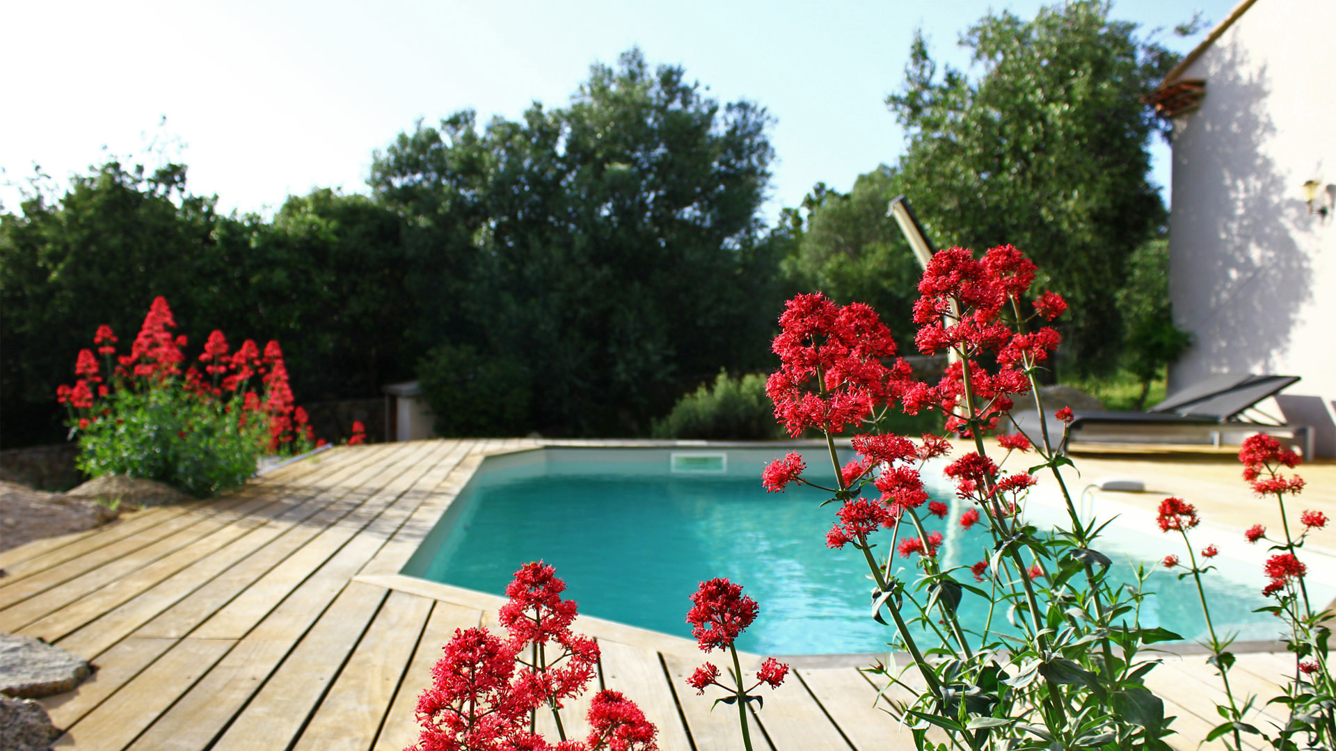 High-end villas to rent in Corsica