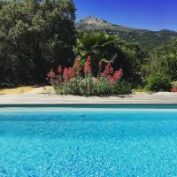 location-villa-haute-corse-piscine-prive-casa-verde-91