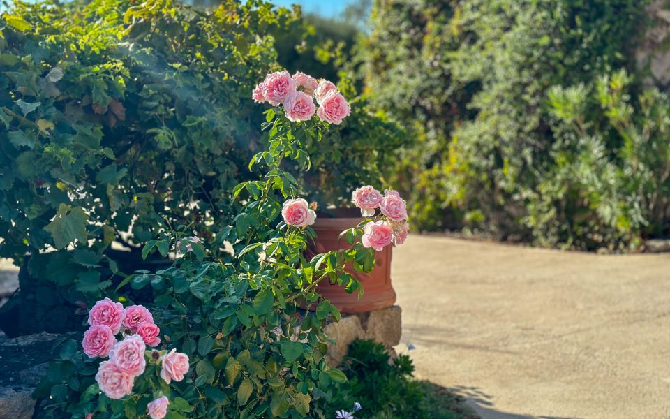 Rental of the Casa Elena apartment - Accommodation for 4 people in L'Ile Rousse, Corsica